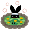 R. H